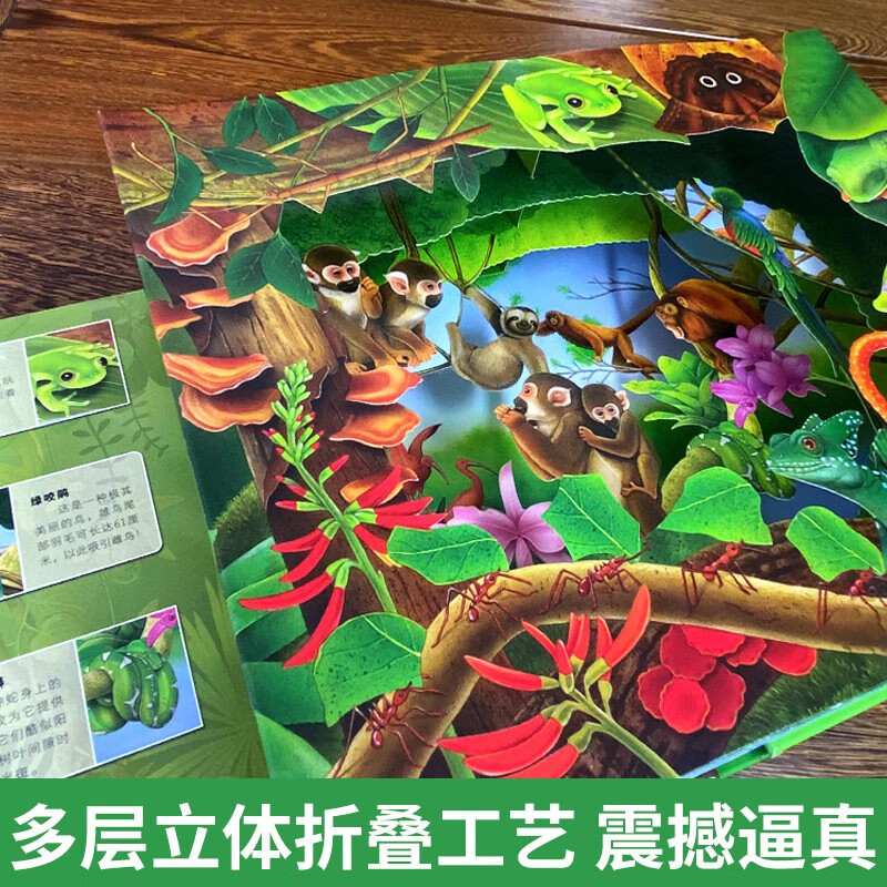 3D Natural World Series Children's Popular Science Pop-up Books Tropical Rainforest Infants and Young Children's Popular Science Cognition Enlightenment Picture Books Fun Flip Books Mechanical Books Parent-Child Interactive Toy Books