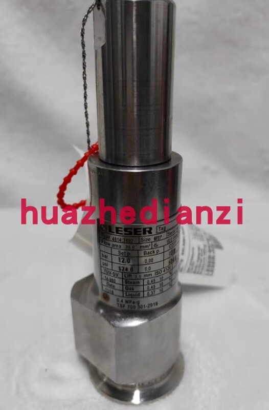 Brand new original LESER safety valve 5262.0452, 4373.2602, 4814.7692 4373.2602
