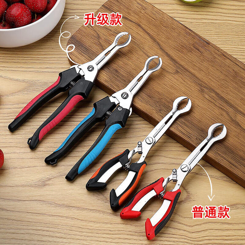 Qian Dong hawthorn corer artifact household pliers to remove seeds and corer homemade candied haws making material tools corer knife seller upgraded model-blue