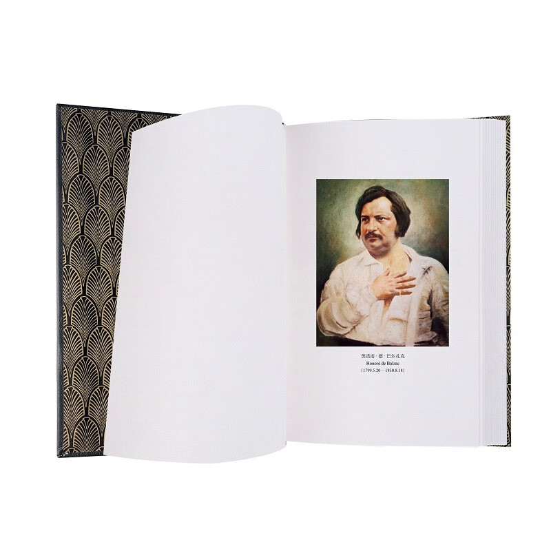 Translated Illustrated Collector's Edition Disillusionment 016 Novel