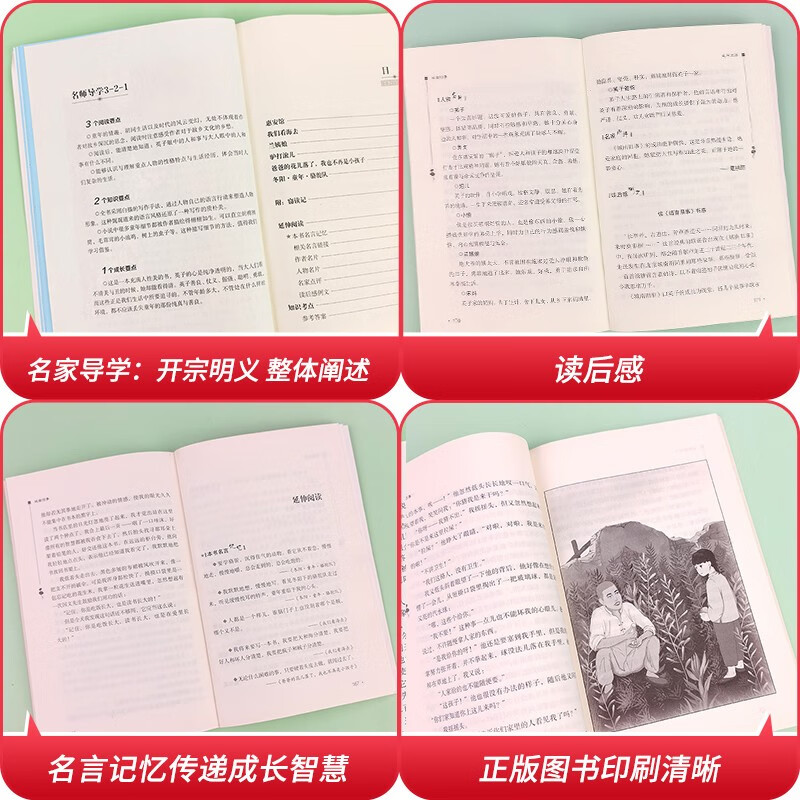 Old stories from Chengnan/Primary and secondary school extracurricular reading Barrier-free reading Chinese recommended reading series/Wisdom Bear Books
