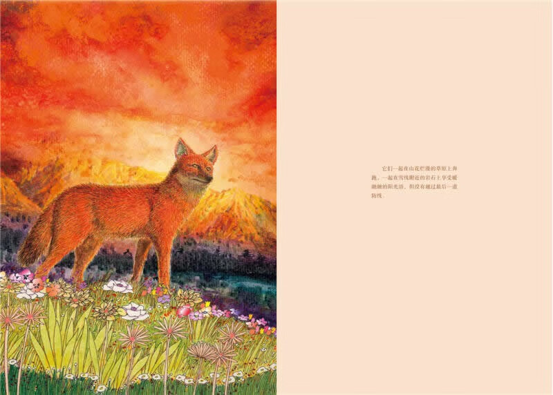 The new edition of the animal novel king Shen Shixi's collection of books (a total of 12 volumes in the blue and red special edition set) children's literature story books children's books extracurricular reading extracurricular books