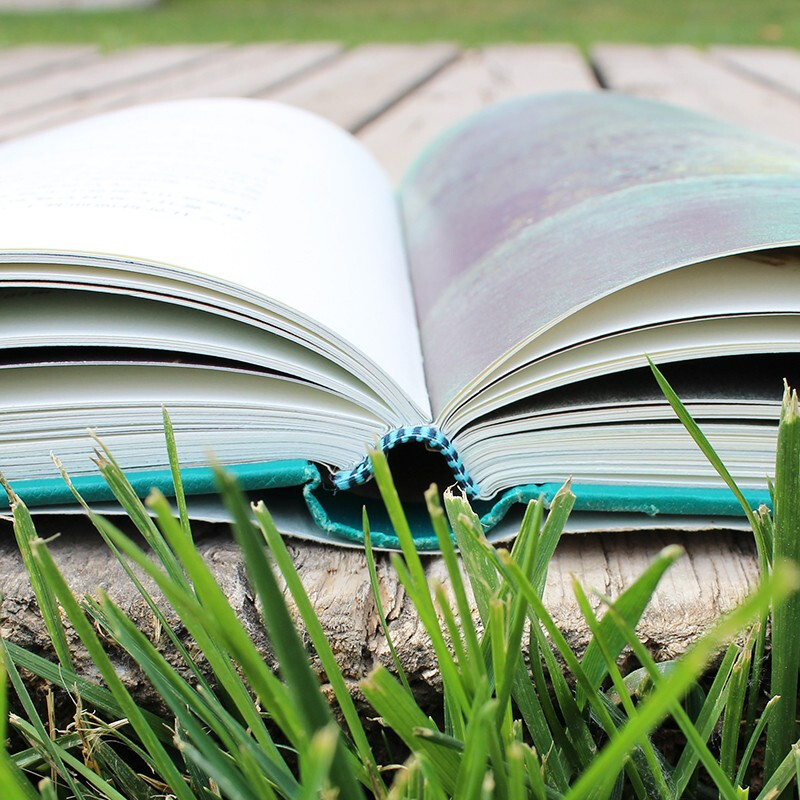 The Wind in the Willows, a full translation of Ren Rongrong's classic (100-year-old classic fairy tale, exquisite illustrations by Robert Yingpan, winner of the International Andersen Illustration Award), primary school students reading 7-14 years old