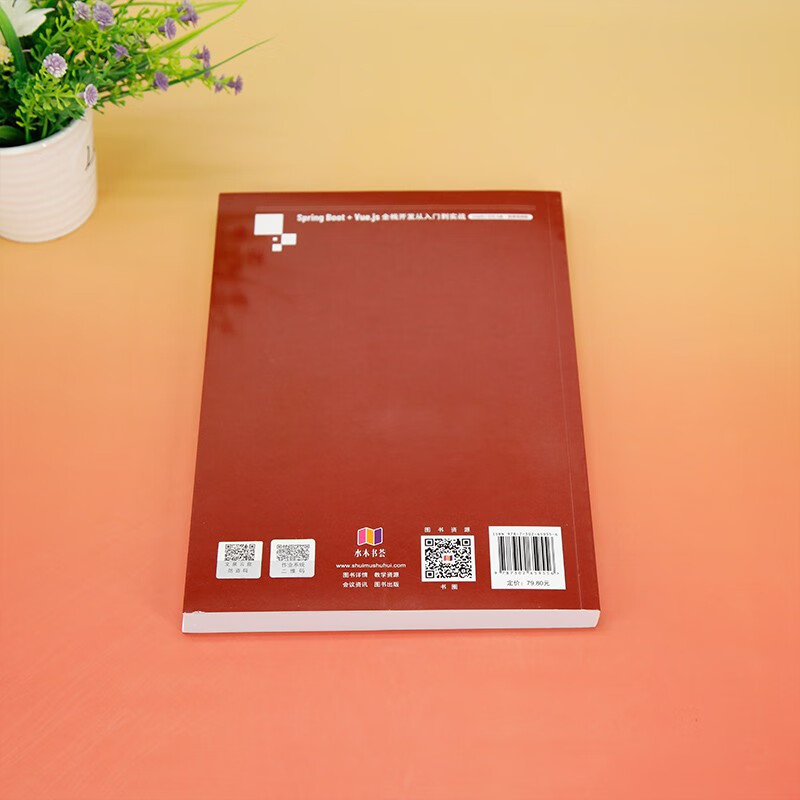 Spring Boot + Vue.js full-stack development from entry to practice (IntelliJ IDEA version micro course