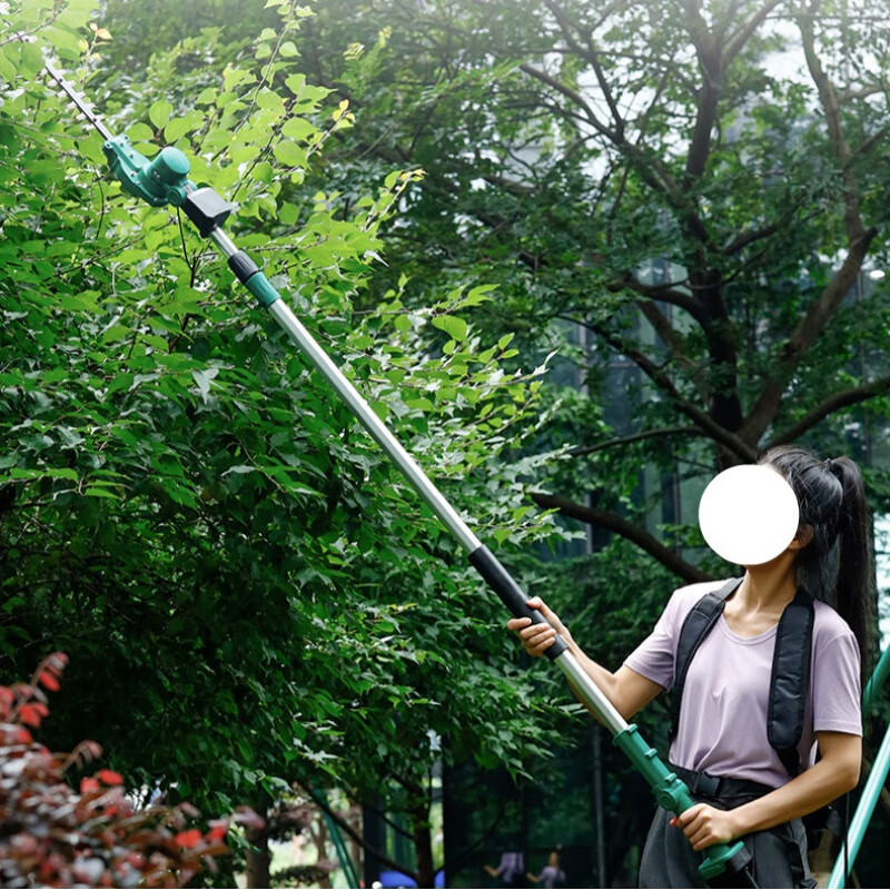 Yingtang Power Tools Extended Hedge Trimmer Rechargeable High Branch Trimmer Landscaping Seedlings Curved Scimitar Saw Brushless 1 Point 6M Long Pole Does Not Include Battery