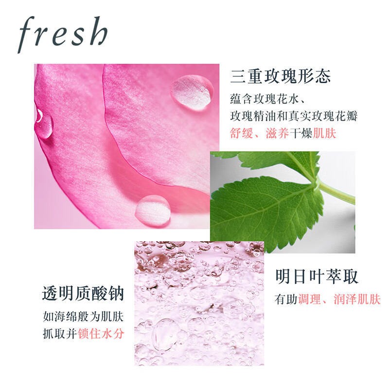 Fresh Damask Rose Moisturizing Water Set (Water 250ml + Cream 50ml) Birthday Gift for Women and Men