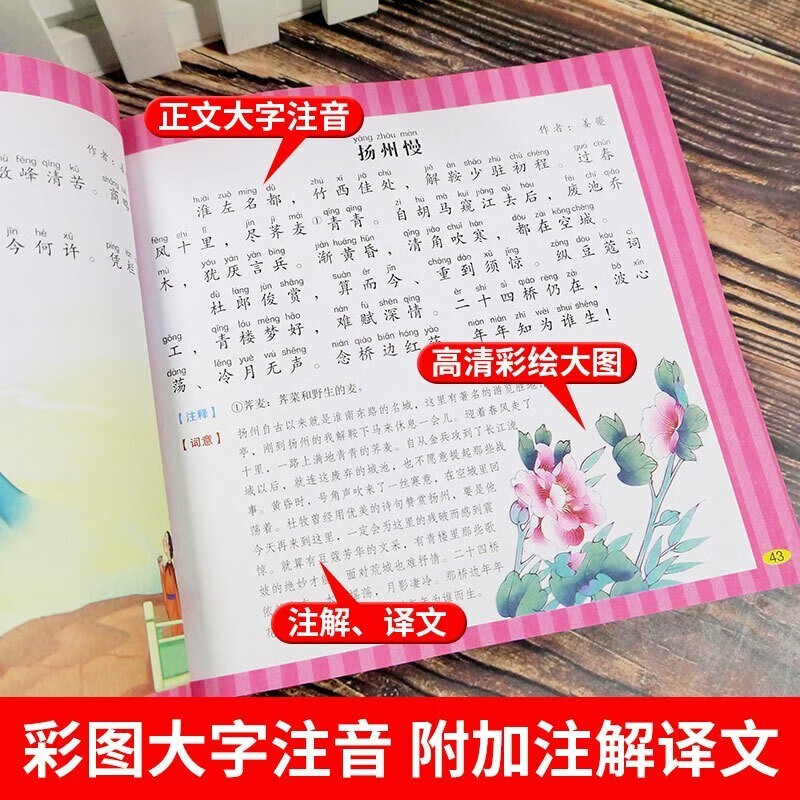 Complete 2 volumes, 300 Tang Poems for young children + 300 Song Dynasty poems with color pictures and phonetic version, early childhood education enlightenment for primary school students in the first and second grade of Chinese ancient poetry, extracurricular reading books, extracurricular readings, extracurricular books