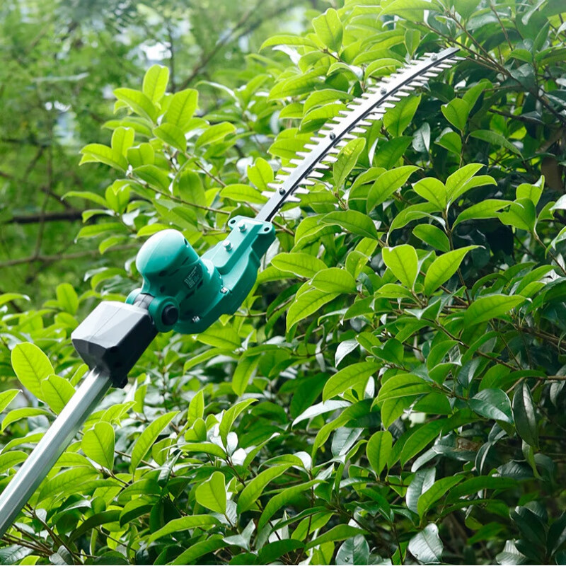 Yingtang Power Tools Extended Hedge Trimmer Rechargeable High Branch Trimmer Landscaping Seedlings Curved Scimitar Saw Brushless 1 Point 6M Long Pole Does Not Include Battery