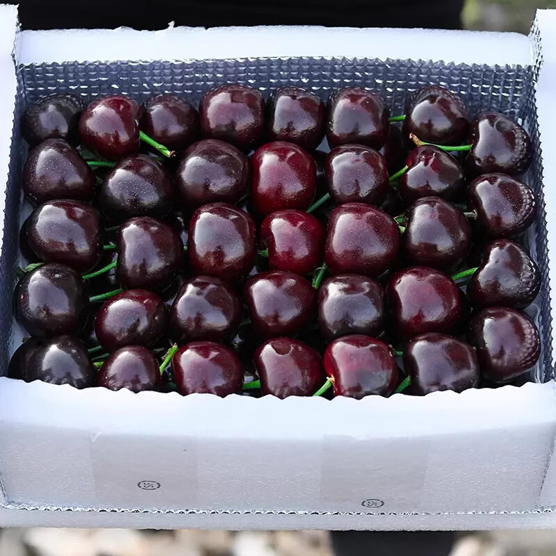 Spot imported Chilean cherries, fresh cherries in season, high-end extra large Chilean cherries whole box pregnant woman gift box 2500g (net weight) extra large fruit JJ 28-30mm