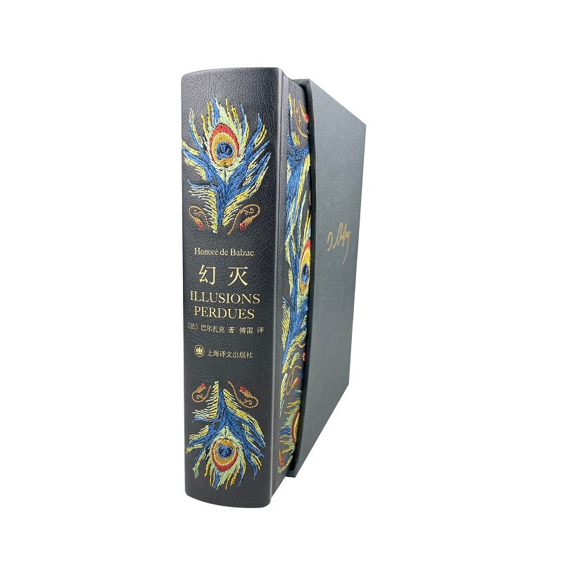 Translated Illustrated Collector's Edition Disillusionment 016 Novel