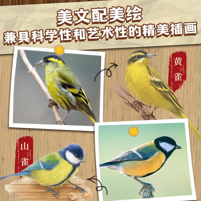 Forest News popular science color painting phonetic version set of 4 volumes spring, summer, autumn and winter four seasons natural encyclopedia children's literature extracurricular reading books for primary school students in grades 1, 2, 3, 4, 5 and 6, one to two transitions, primary to junior transition