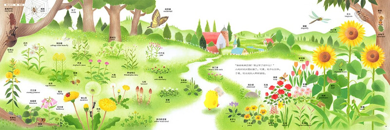 Click-to-read version of Chicken Ball’s Natural Bilingual Cognitive Illustrated Book Who’s Letter? Chicken Ball’s Great Growth Series Chinese-English bilingual picture books for children aged 0-3-6 years old Kindergarten baby early education children’s simple English enlightenment Great Growth story book