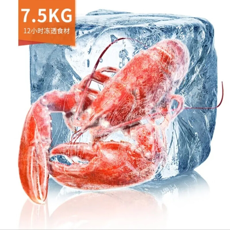 Homa 146L Freezer Low Noise Energy Saving Refrigeration Freezer Home Commercial Variable Temperature Horizontal Freezer Metal/Dark Brown 146L BC/BD_146G2 705x550x847