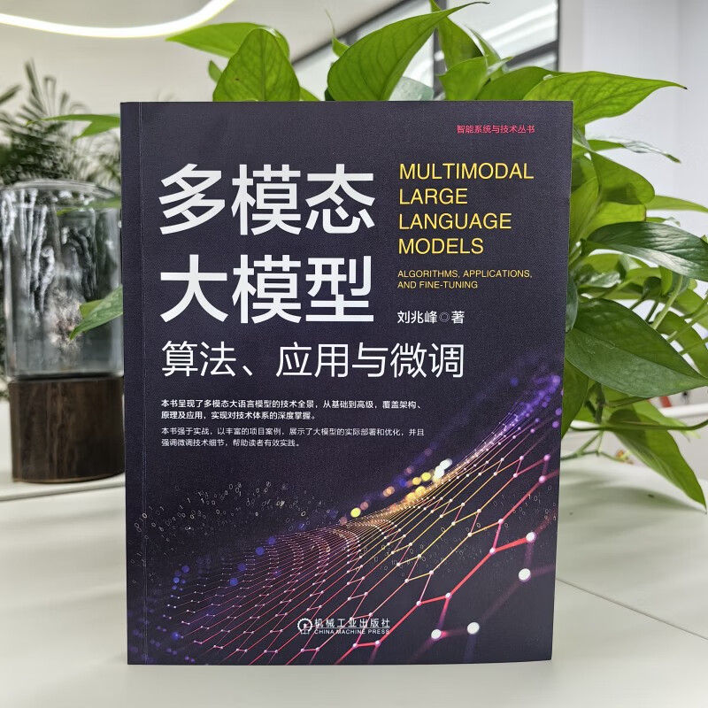 Multi-modal large model algorithm, application and fine-tuning DeepSeek empowerment