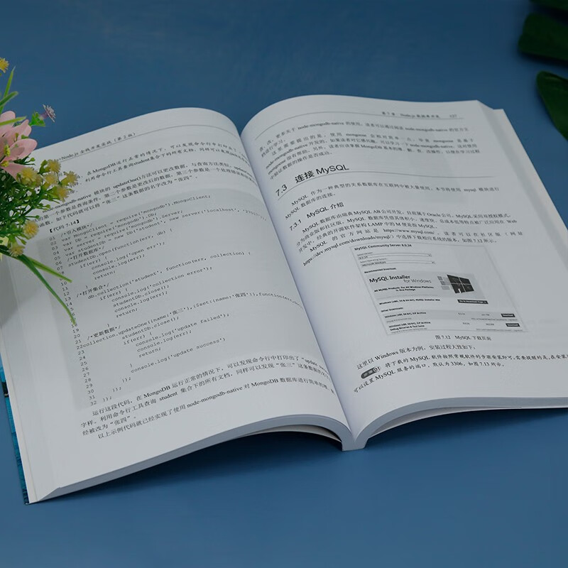 Vue.js+Node.js full-stack development practice (2nd edition) (Web front-end technology series)