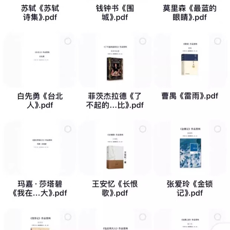 IB Chinese A Paper 2 High Score Materials Paper Material Notes Real Exam High Score Papers <The Bluest Eye>