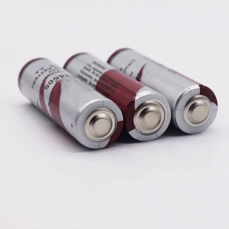 Zhengxinyuan ER14505 3.6V water meter PLC industrial control AA medical equipment lithium sub-battery No. 5 with plug/with lead (1 piece)