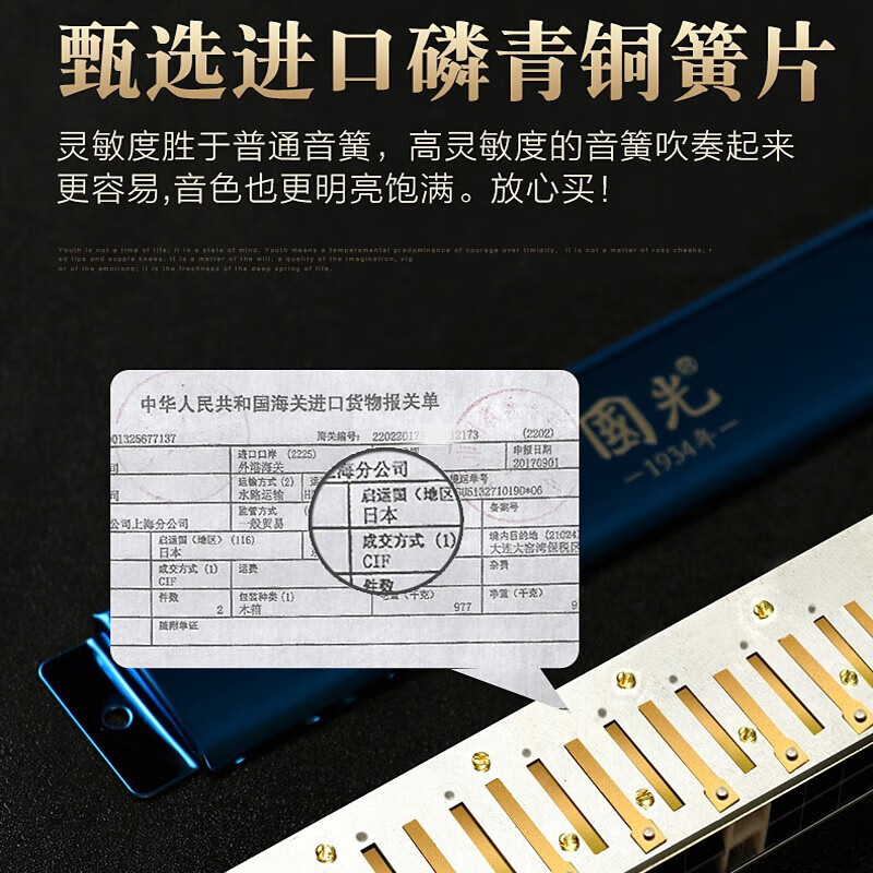 Guoguang Guozhimeng professional performance harmonica 24-hole polyphonic #A/B/C/D/E/F/G adult high-end competition harmonica 28-hole C-key polyphonic black wide range performance grade
