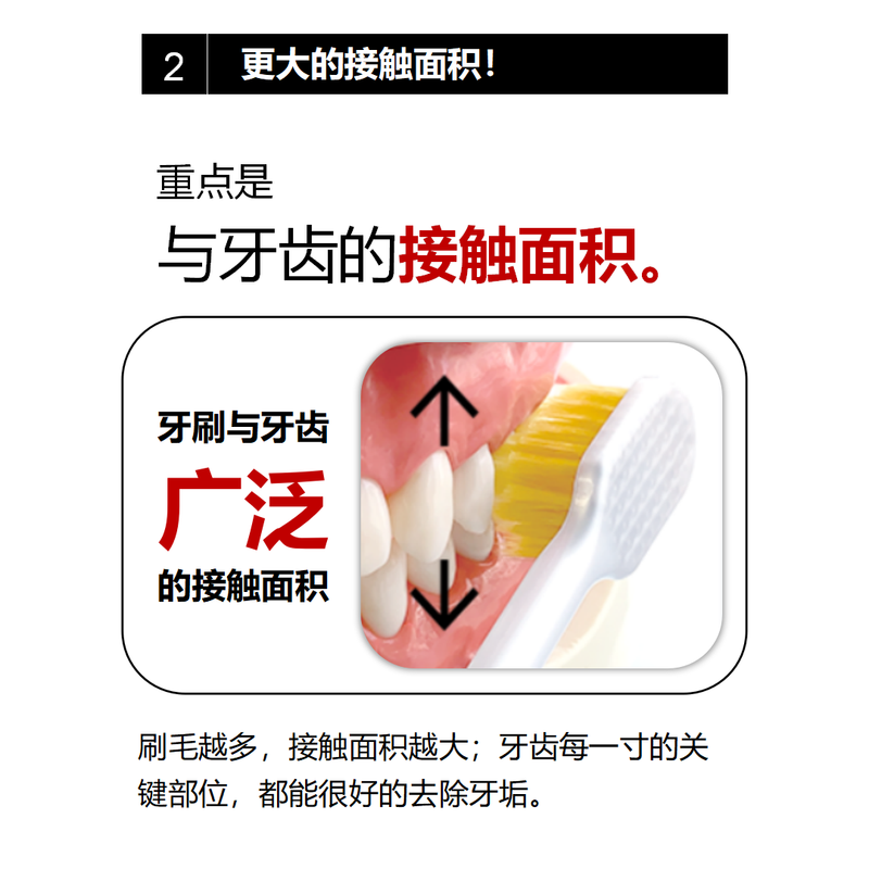 EBISU imported adult 48-hole wide soft bristle toothbrush household 5-piece combination stocking set model 81/82 shipped randomly