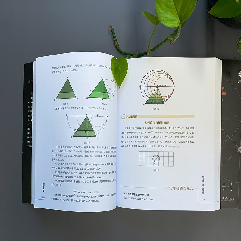 The Beauty of Mathematics, a mathematical thinking and problem-solving book for middle school students highly recommended by professors from Tsinghua and Peking University