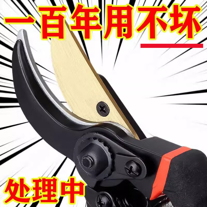 Dongjiu SK5 steel gardening shears, fruit tree pruning shears, garden thick branches, scissors for cutting branches, floral pruning shears, fruit picking shears, pruning shears, handles with sheaths