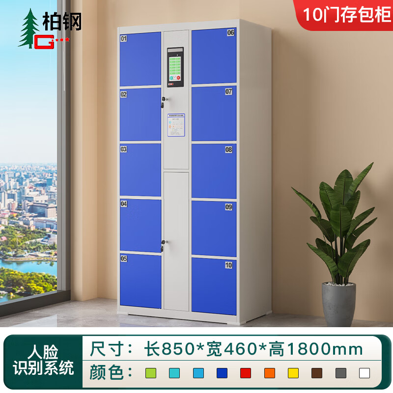 Baigang Intelligent Locker for Workplace, Electronic Bag Storage Cabinet, Shopping Mall Locker, Face Recognition Model, 10 Doors