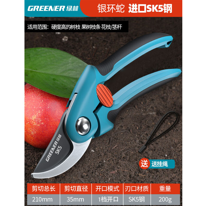 GREENER gardening scissors, fruit tree shears, pruning shears, special branch scissors, pruning branches, floral scissors, household garden pruning shears, fruit branch shears, 8-inch can cut 20mm branches-SK5 steel