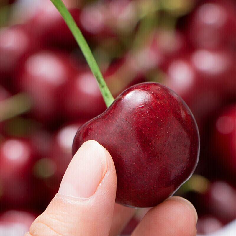 Detective Xianxian imported large cherries from Chile, next-day delivery to multiple places, fresh fruit optional gift box, 750g (net weight), hand-selected fruit J 26-28mm, 2kg box, gift box