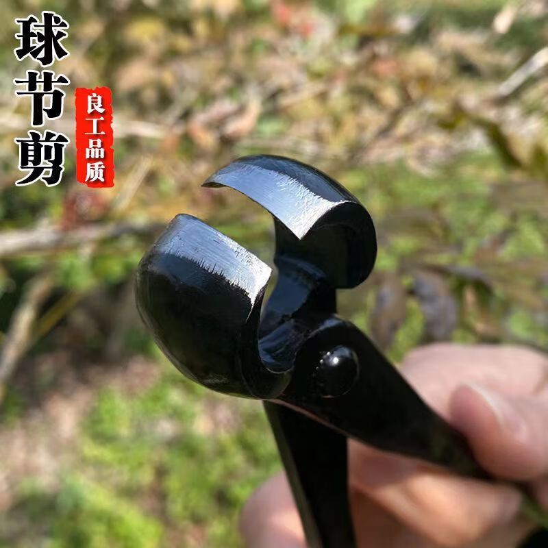 Runhuanian bonsai making tree tumor pruning gardening maintenance artifact ball joint shear pruning ball pliers old pile shape ball pruning shears medium broken rod pliers (210mm)