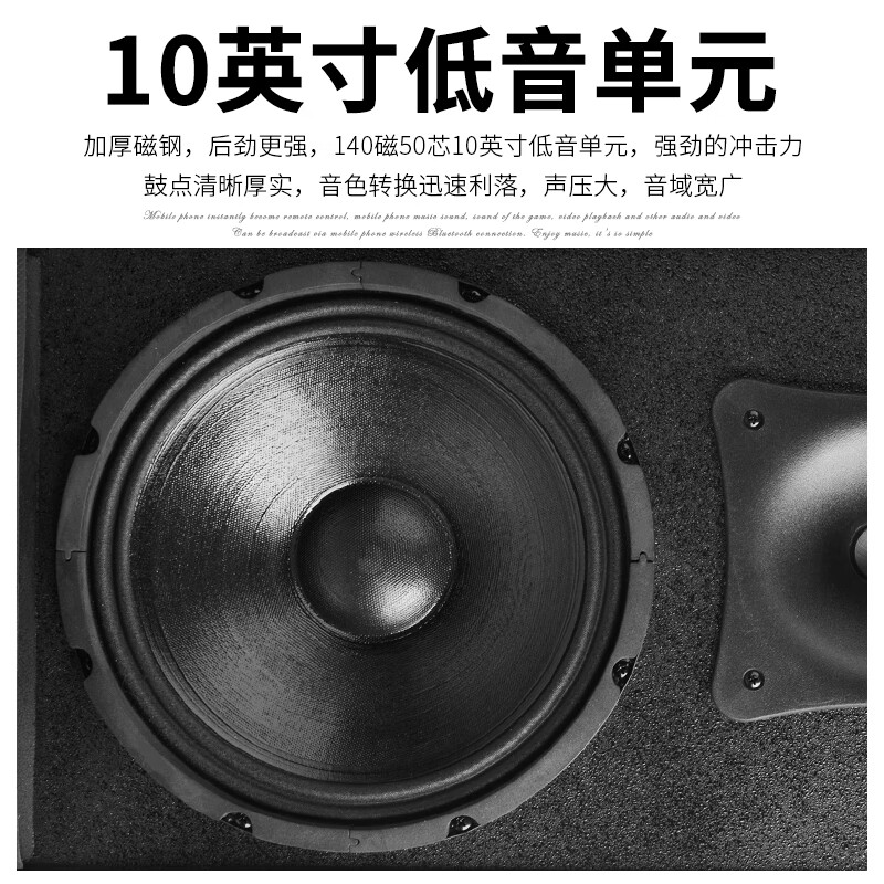 SHILE professional passive speakers 10-inch multi-function hall stage conference room lecture hall dance room KTV entertainment speakers pair BX-505