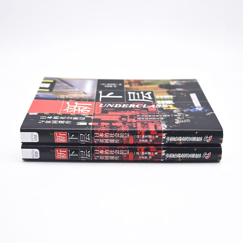 The New Lower Class: Social Class and the Inheritance of Poverty in Japan