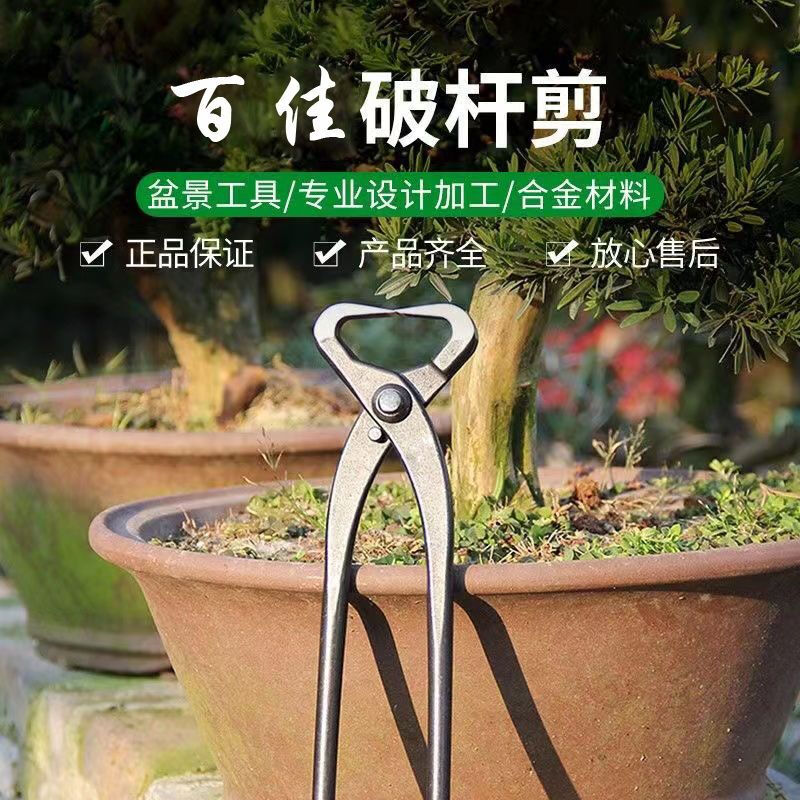 Runhuanian bonsai making tree tumor pruning gardening maintenance artifact ball joint shear pruning ball pliers old pile shape ball pruning shears medium broken rod pliers (210mm)