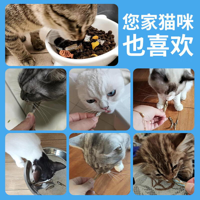 Cute Becks Cat Snacks Dried Fish 250g Natural and Healthy Dried Fish Calcium Supplement Snacks for Kittens All-stage Cat Snacks