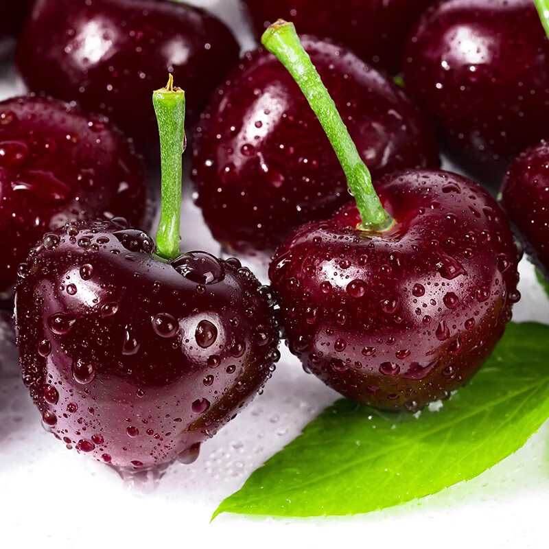 Spot imported Chilean cherries, fresh cherries in season, high-end extra large Chilean cherries whole box pregnant woman gift box 2500g (net weight) extra large fruit JJ 28-30mm