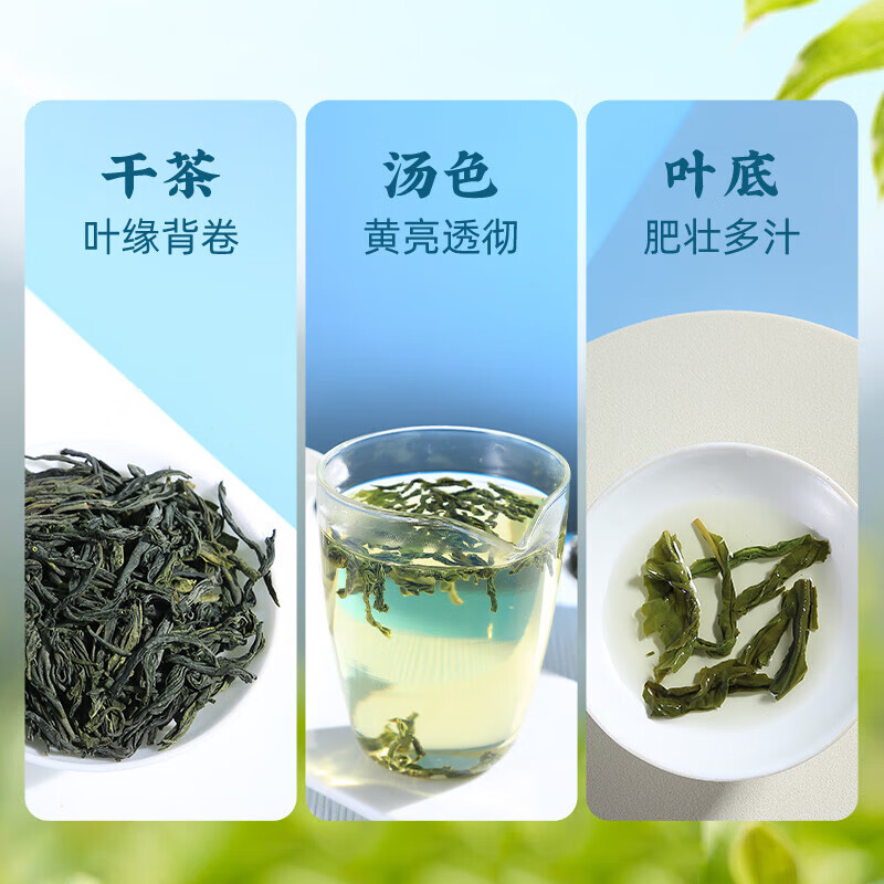 Huiliu Green Tea Liu'an Guapian Tea 50g Qianxiang 500 Level 2 2025 New Tea Canned Before the Rain