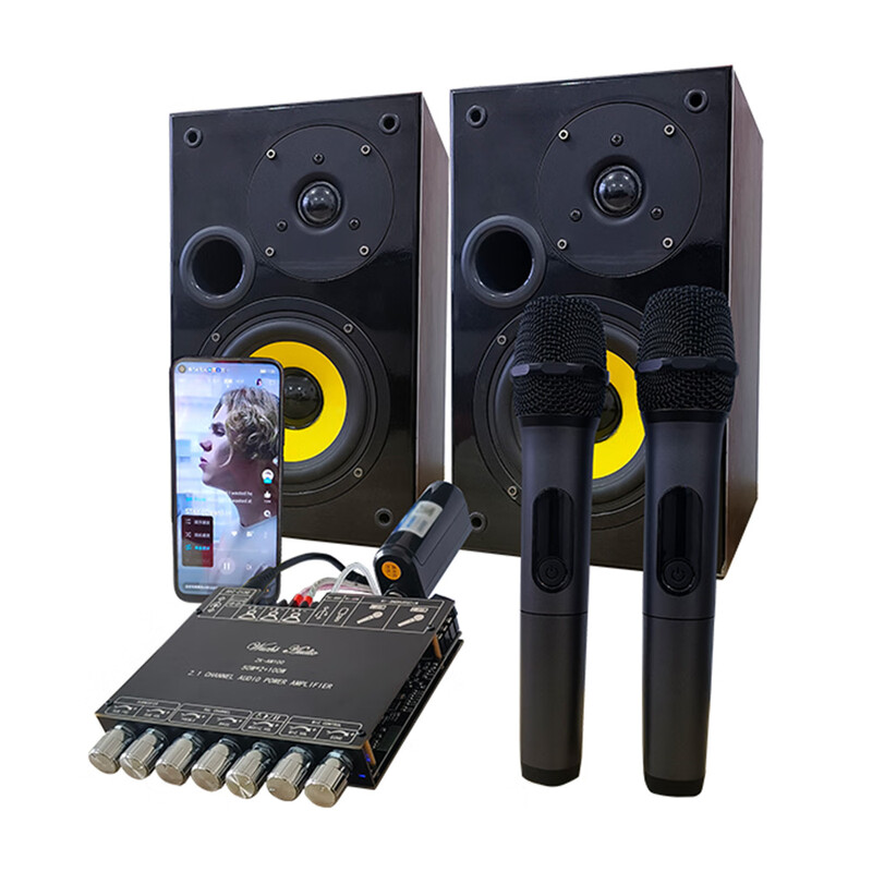 High-power Bluetooth amplifier board ZK-AM100KTV microphone and audio all-in-one machine 2.1 channel TPA3116D2 with shell