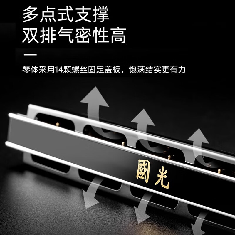 Guoguang harmonica professional performance level accented German imported gongs polyphonic C key for beginners entry-level adult self-study 24-hole C key polyphonic black + full set of gifts