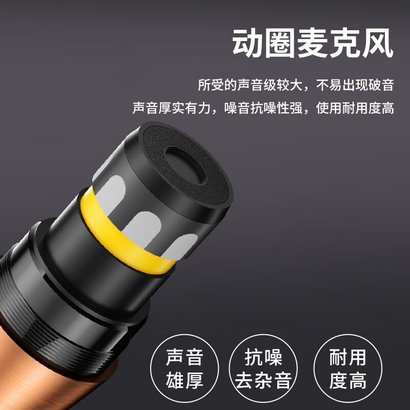 SAST ok-09 wired dynamic microphone professional home KTV singing recording home karaoke conference desktop computer speech microphone professional wired microphone 5 meters long