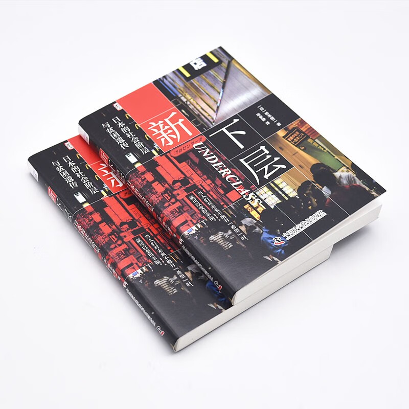 The New Lower Class: Social Class and the Inheritance of Poverty in Japan