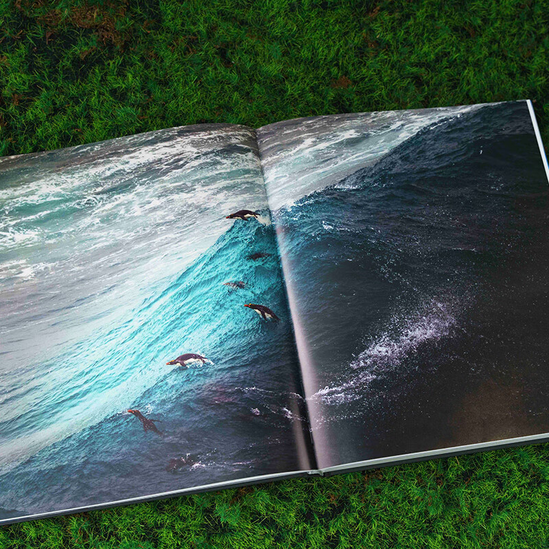 China National Geographic Born Wild Natural Landscape Wildlife Macro Observation Photography Album