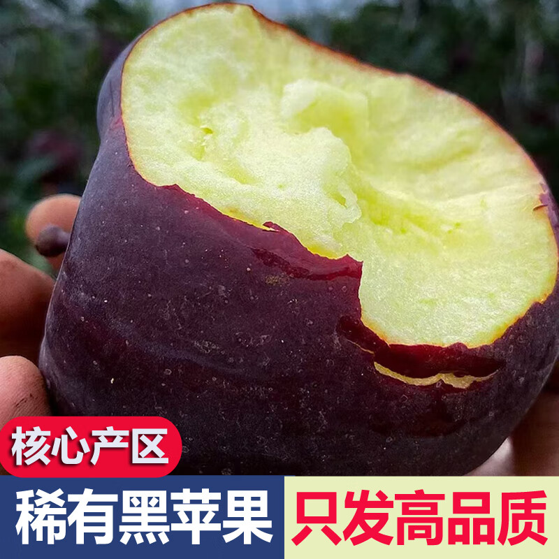 Zhu's Orange, SF, Black Card Apple, Zhaotong Black Diamond Apple, Fresh Black Apple, Seasonal Fruit New Year's Gift Box, 4kg Family Pack of Large Fruit, About 9-11 pcs