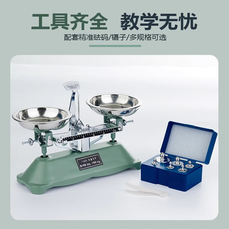 Qianqi accurate pallet balance scale small second grade mathematics, physics and chemistry laboratory high-precision student home physics balance scale preschool interest model 100 grams / accuracy 0.1 grams with weights