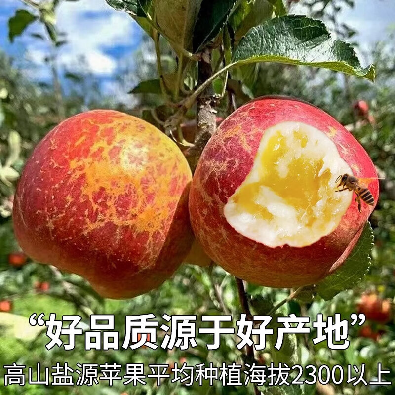 Jingmi Sichuan Daliangshan Ugly Apple, 8 pounds net, single fruit 80mm+, fresh fruit rock candy heart apple, straight from the source