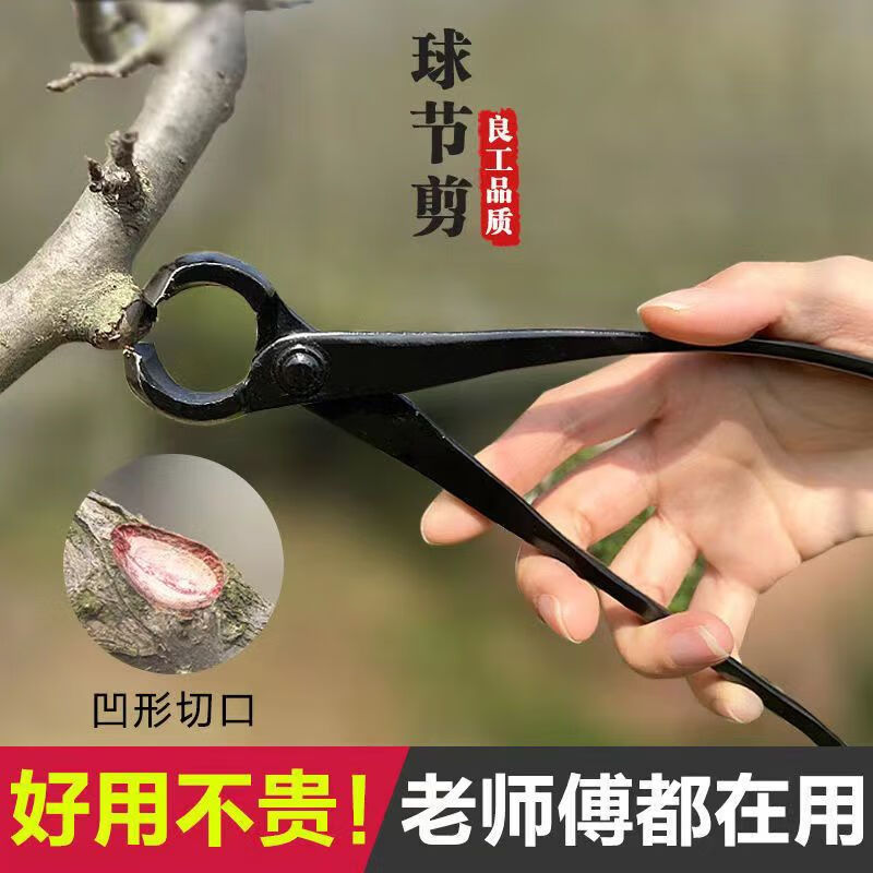 Runhuanian bonsai making tree tumor pruning gardening maintenance artifact ball joint shear pruning ball pliers old pile shape ball pruning shears medium broken rod pliers (210mm)