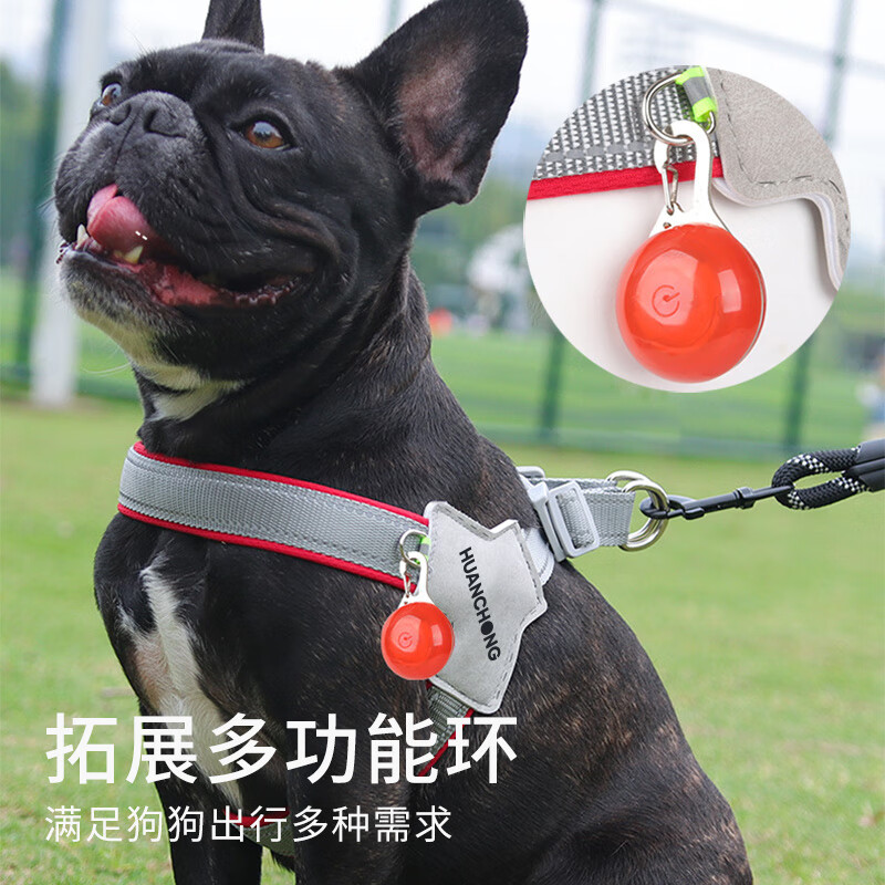 Huanpet.com dog leash, dog leash, dog harness, dog collar, cat, cat walking, small, large dog, cat leash, pet