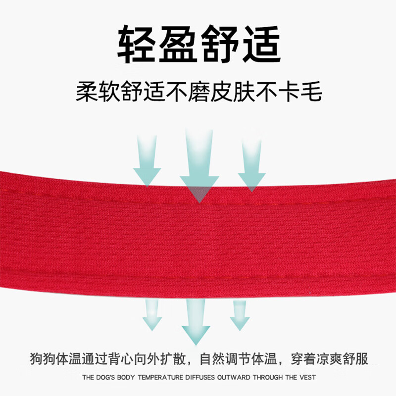 Huanpet.com dog leash, dog leash, dog harness, dog collar, cat, cat walking, small, large dog, cat leash, pet