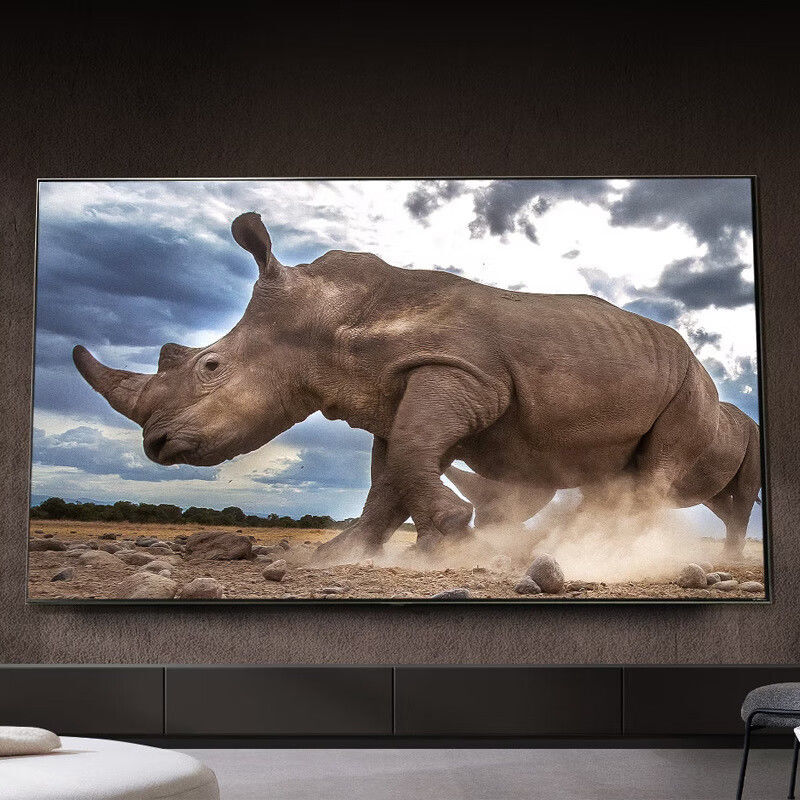 LG 65QNED81TCA 65-inch AI audio and video adjustment smart ultra-thin large screen 4K high-definition TV new 65-inch 65-inch