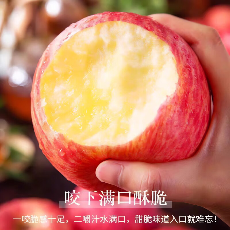 Jingdida Apple Yantai Apple Qixia Red Fuji Apple Fresh Fruit New Year's Goods 4.5 Jin Single Fruit 75mm + Straight from the Source