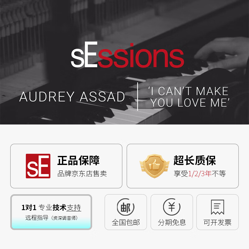 SE2200 large diaphragm condenser microphone live broadcast karaoke studio-level microphone dubbing recording audiobook equipment computer sound card microphone complete set sE2200 official standard + microphone cable + desktop stand