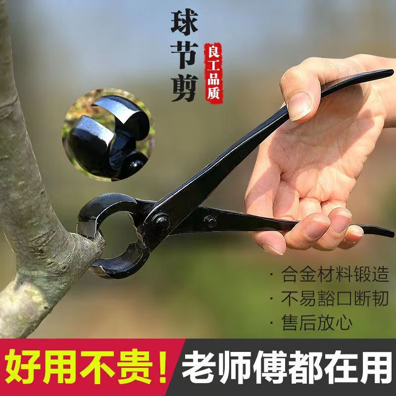 Runhuanian bonsai making tree tumor pruning gardening maintenance artifact ball joint shear pruning ball pliers old pile shape ball pruning shears medium broken rod pliers (210mm)